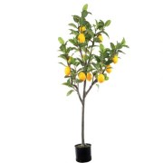 313-021-0171-50technito-dentro-lemonia-se-glastra-152cm