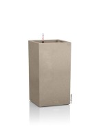 canto_high_brown_light