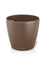 classico_color_brown