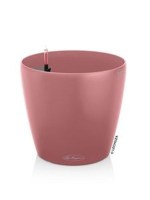 classico_color_pink7