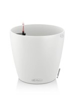 classico_color_white