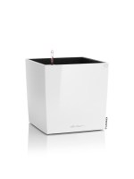 cube_premium_white7