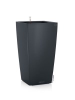 cubicon_premium_anthraki1