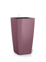 cubicon_premium_special_purple_dark5