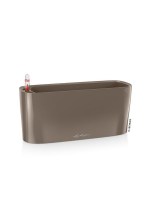delta10_brown8