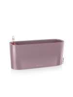 delta10_purple2