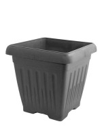 geramica_dilos_anthraki