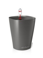 mini_delfini_anthraki4