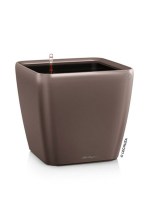 quadro_brown6