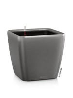 quadro_silver_dark24