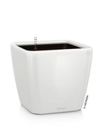 quadro_white9