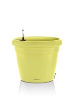 rustico_yellow2