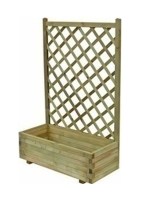 zarntiniera_kafasoto